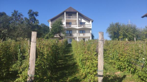 Apartmani Stevanović